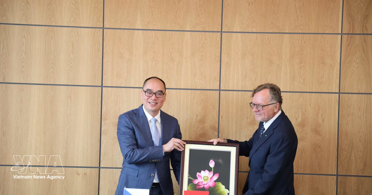 Vietnam, Czech Republic strengthen cooperation in public auditing