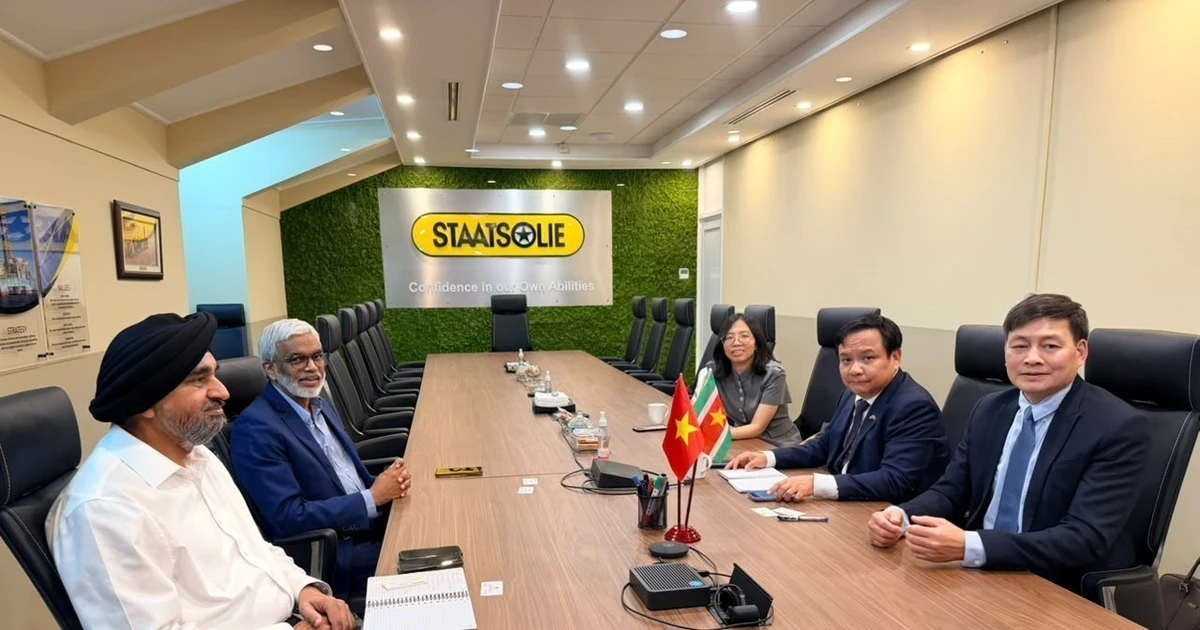 Vietnam, Suriname promote substantive cooperation across multiple fields