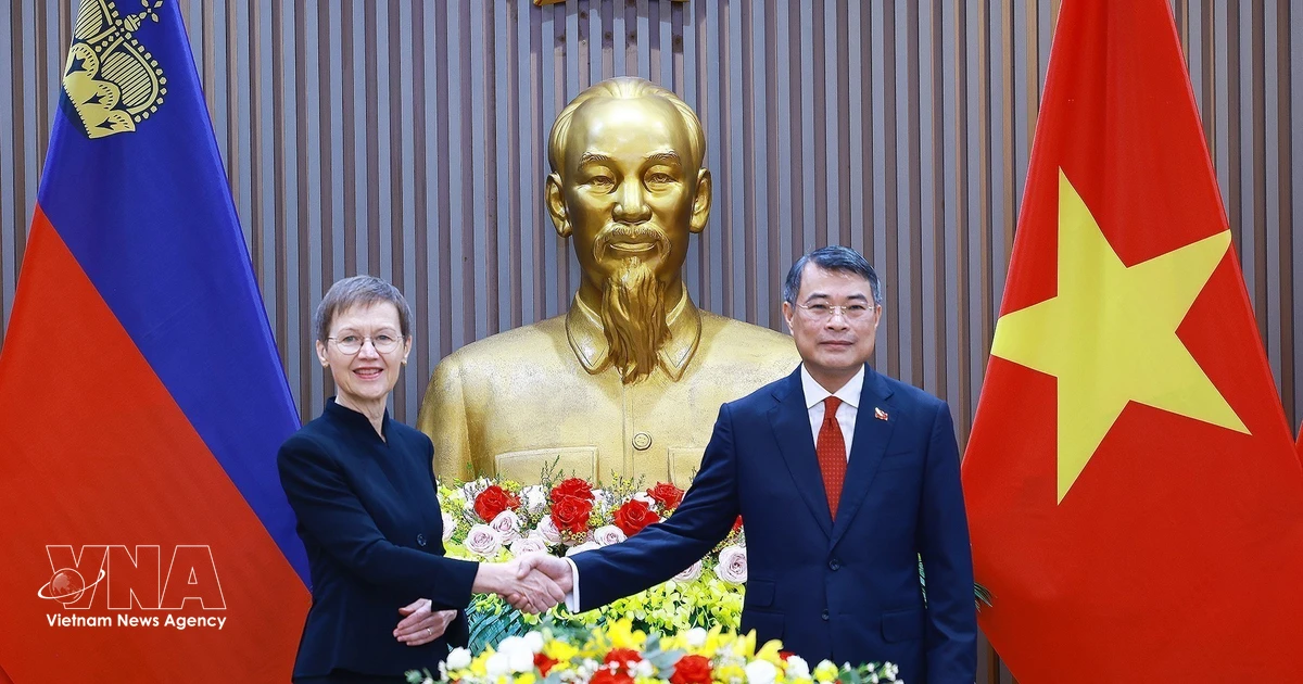 Vietnam, Liechtenstein step up cooperation, tap opportunities from new agreements