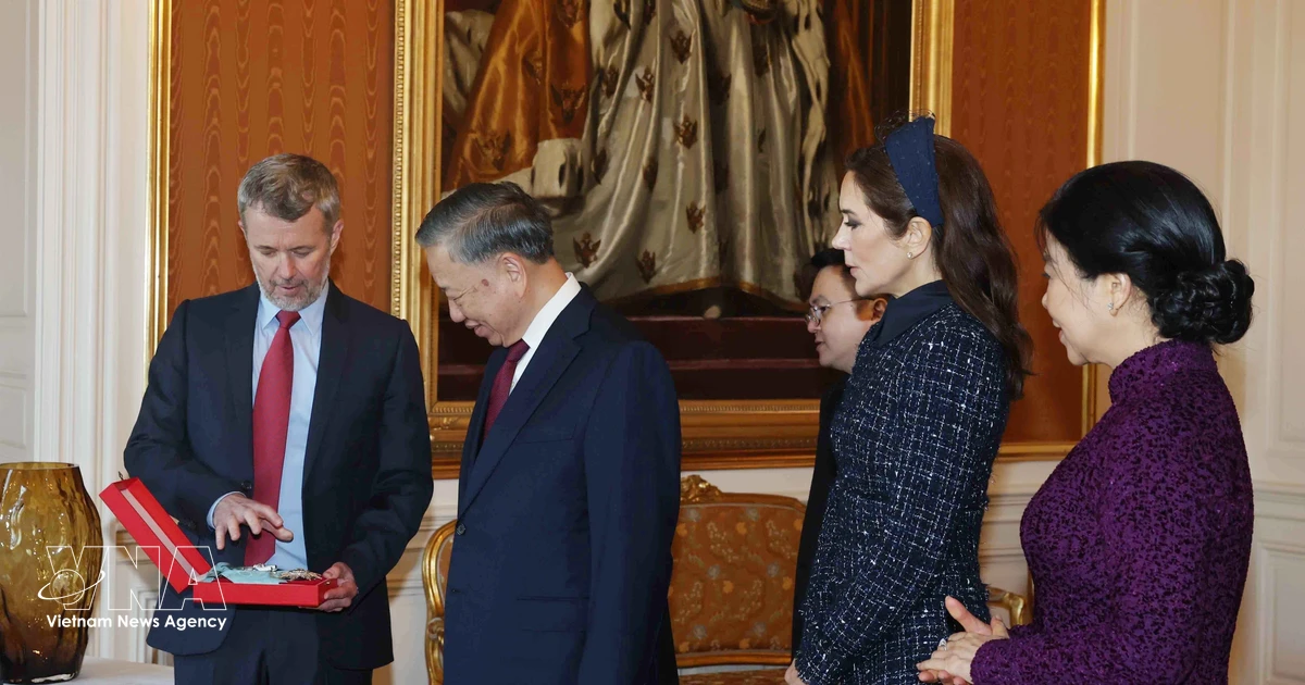 Top Vietnamese leader receives Denmark’s highest-ranked honour