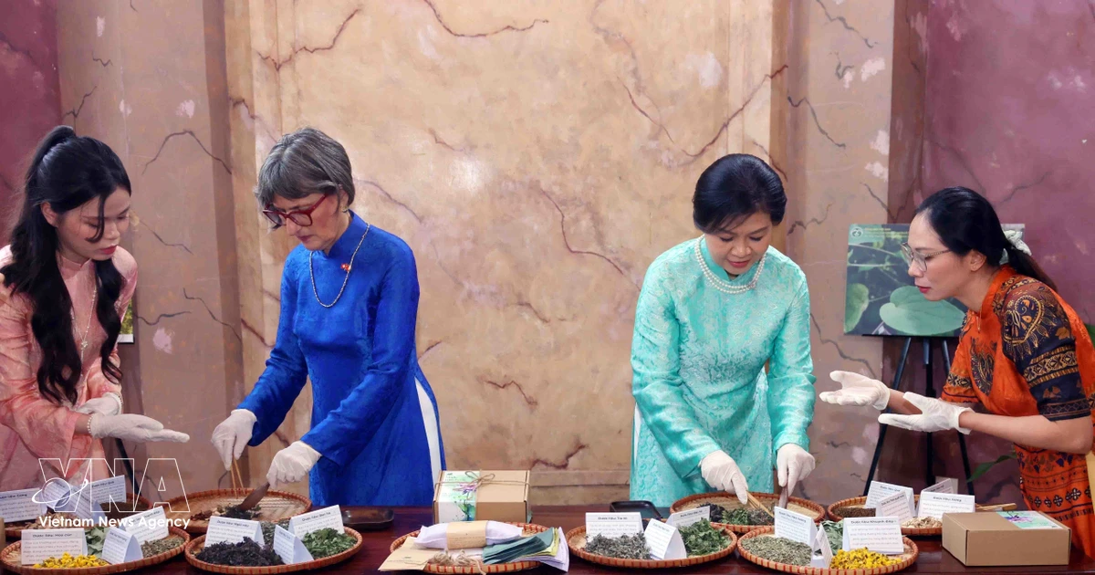 Spouses of Vietnamese, Swiss leaders visit Hanoi University of Pharmacy