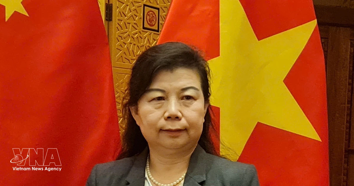 Vietnamese NA President’s China visit facilitates bilateral cooperation: Chinese researcher