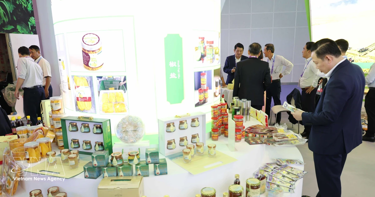 Vietnam's An Giang picked for CAEXPO “Charming Cities” showcase