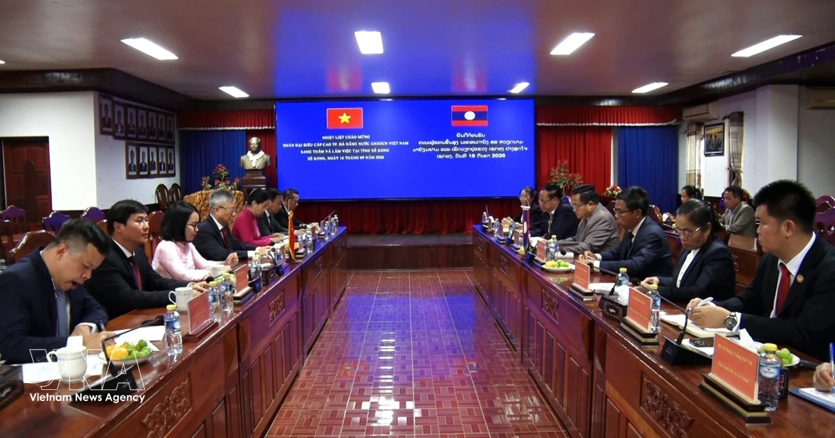 Vietnamese, Lao localities strengthen comprehensive cooperation, reinforcing special friendship
