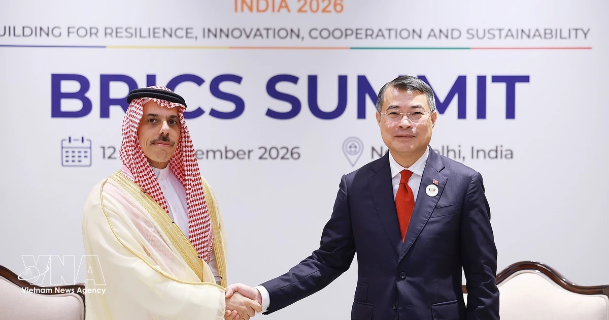 Vietnam seeks effective, substantive ties with Saudi Arabia