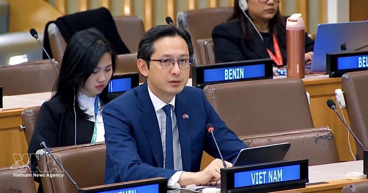 Vietnam, ASEAN highlight inclusive social development at UN