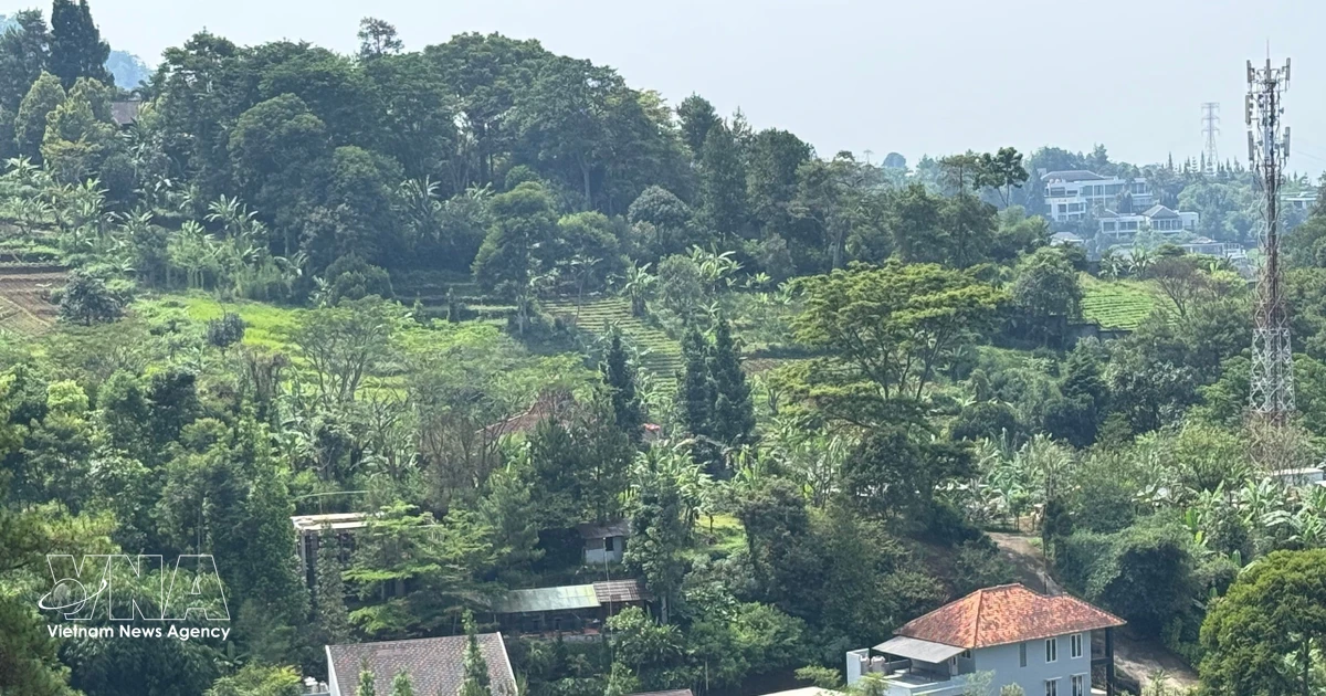 Indonesia passes agrarian reform law to tackle land conflicts
