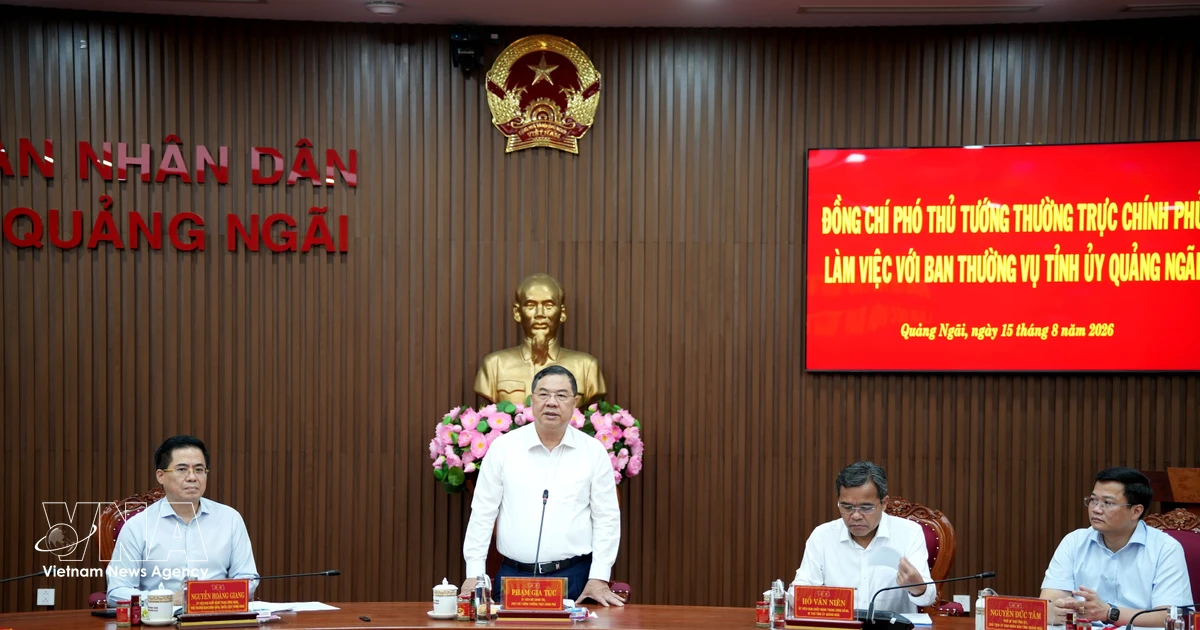 Quang Ngai province urged to unlock resources, drive breakthrough growth