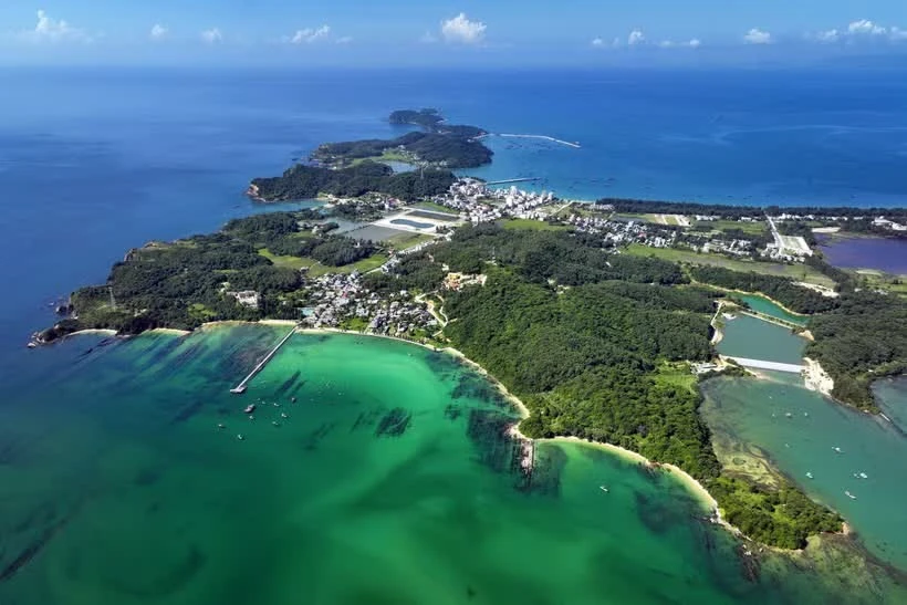 Green agriculture on the green island of Co To