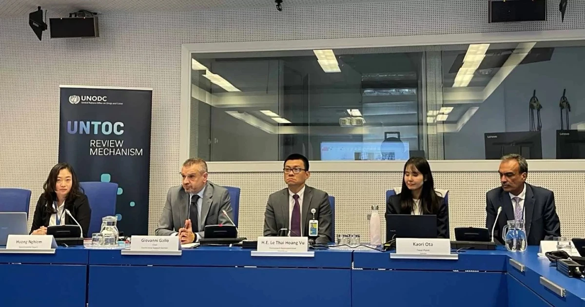 Vietnam leads Asia-Pacific in UN workshop on transnational crime combat