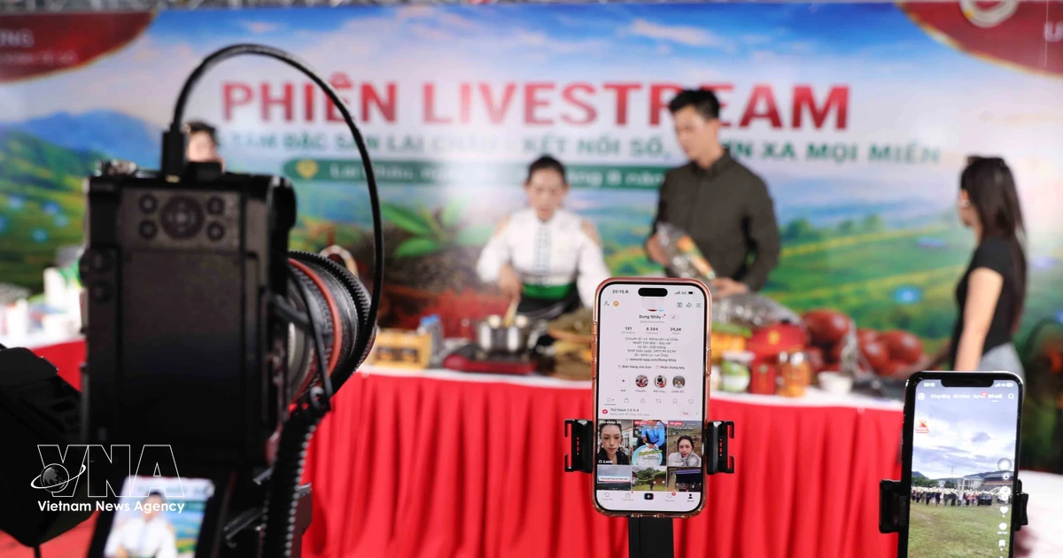 Vietnamese goods gain ground on e-commerce platforms during National Day holiday