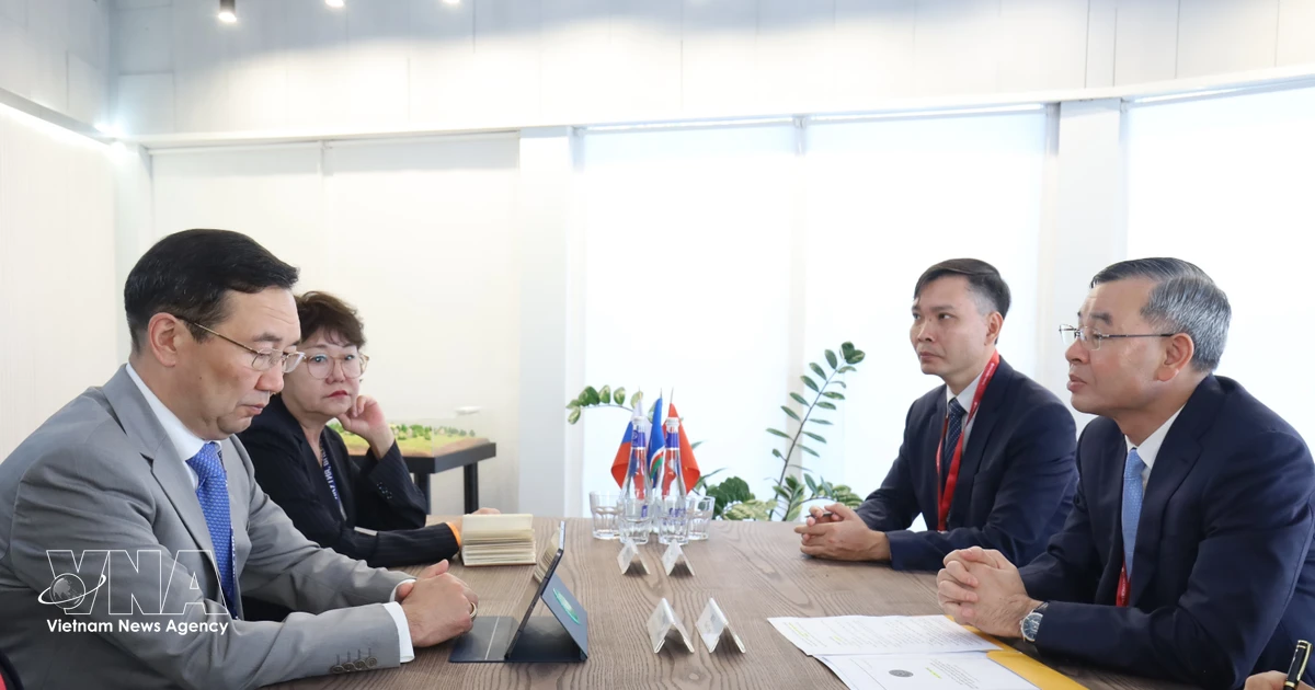 New avenues for Vietnam-Russia cooperation