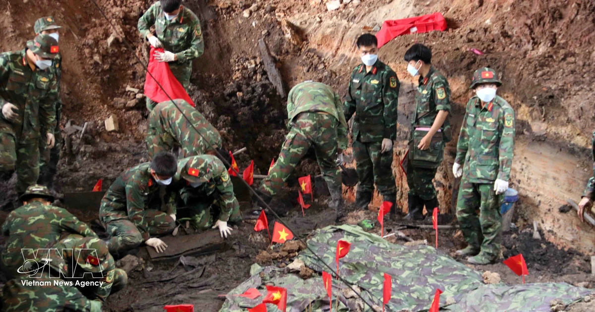 Ho Chi Minh City recovers 30 more sets of martyrs’ remains at park