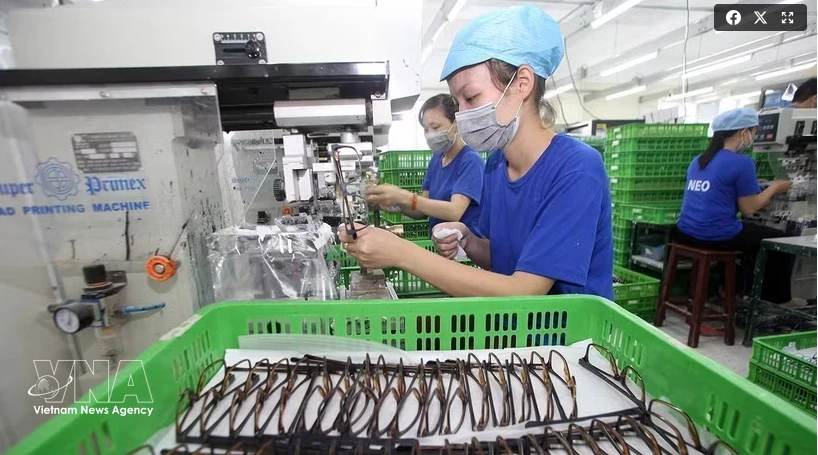 Vietnam-France political trust should be translated into concrete cooperation: former diplomat