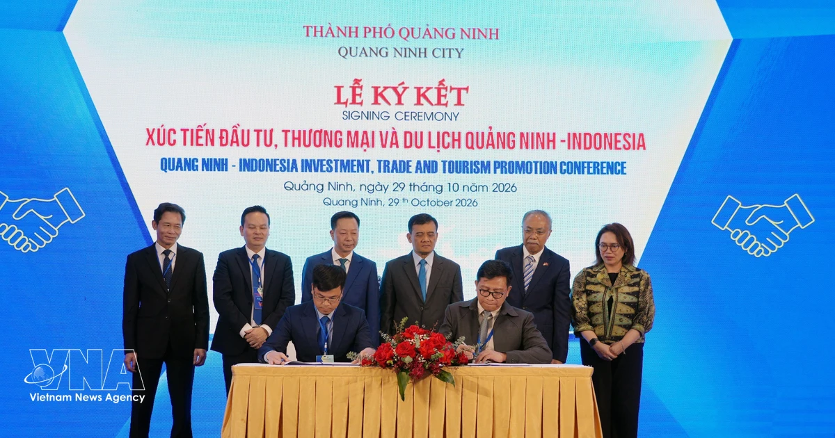 Quang Ninh promotes comprehensive cooperation with Indonesian partners