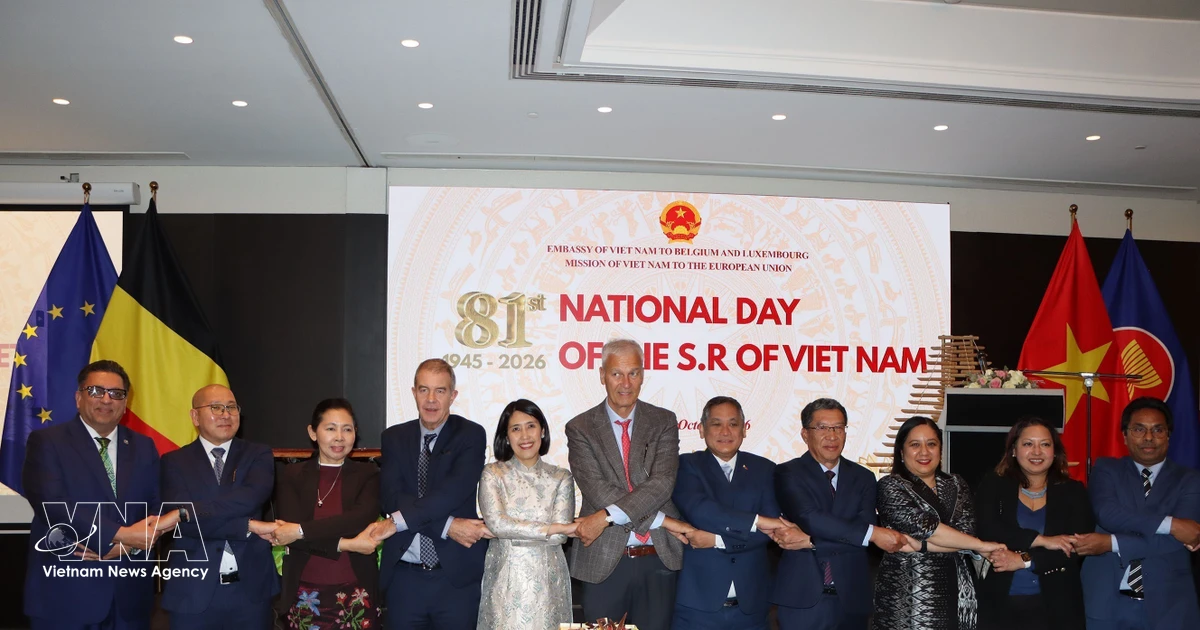 Vietnam-Belgium ties gain fresh momentum