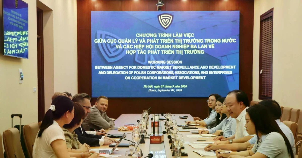 Polish businesses seek suppliers, partners in Vietnam
