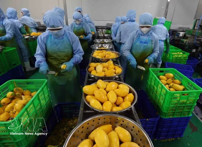 Vietnam, Mongolia promote complementary strengths to expand cooperation opportunities
