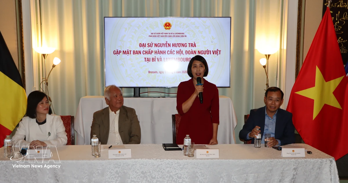 Overseas Vietnamese ready to contribute to national transformation