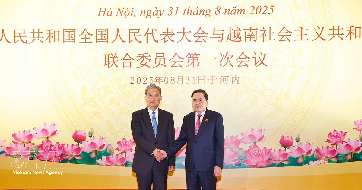 Top legislator’s visit to step up Vietnam–China parliamentary ties