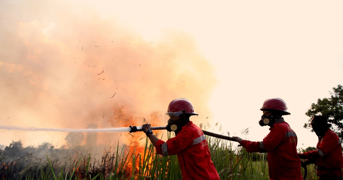 Indonesia deploys more aircraft for cloud seeding to combat forest fires
