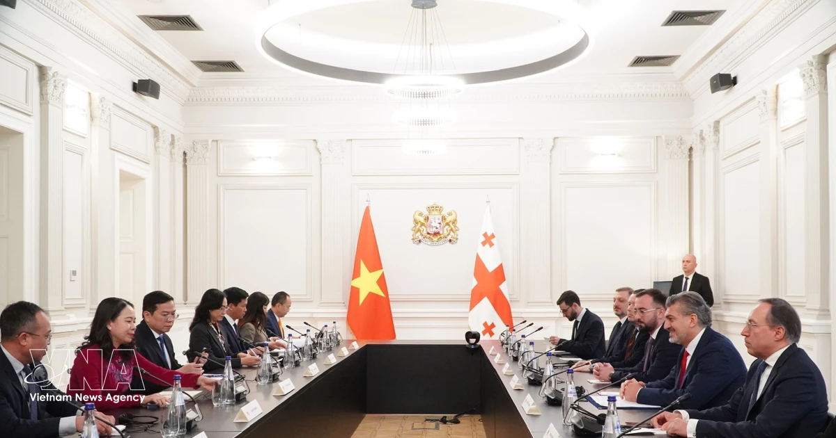 Vietnamese Vice President meets with Georgian leaders
