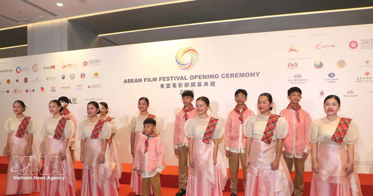Cinema brings Vietnamese culture, history closer to international audiences