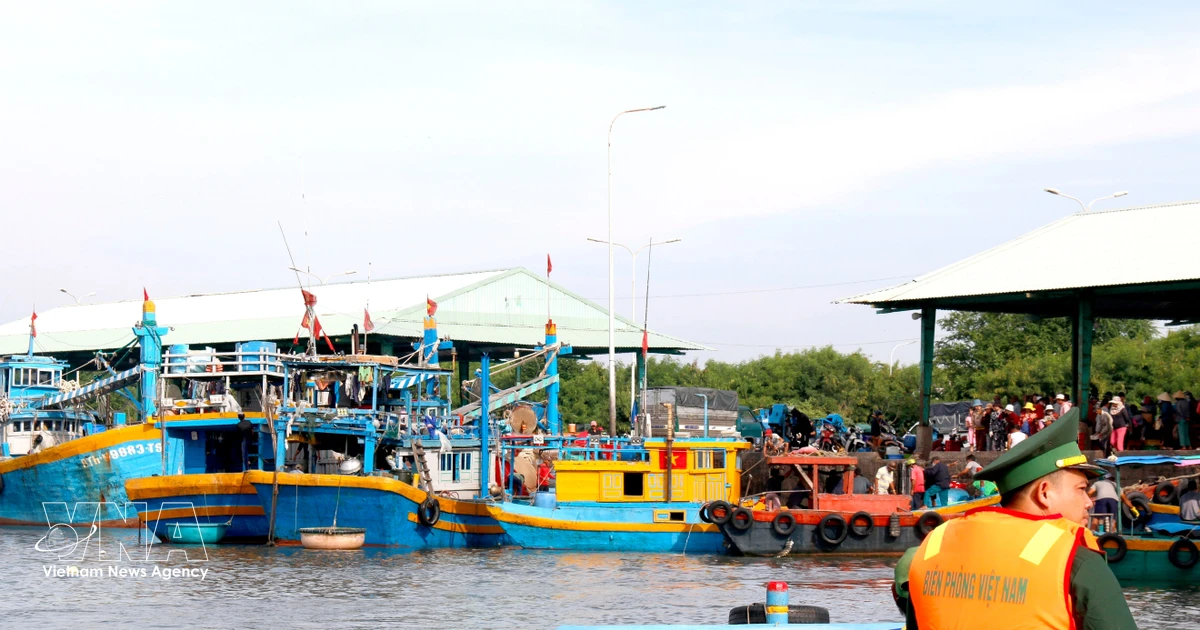 Lam Dong province deploys 10 key measures to combat IUU fishing
