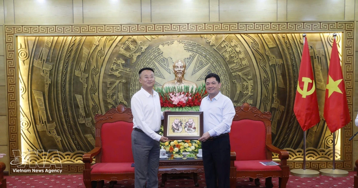 Chinese renewable energy developers seek investment cooperation in Bac Ninh