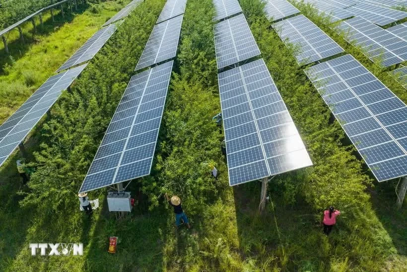 Thailand’s solar panel imports surge