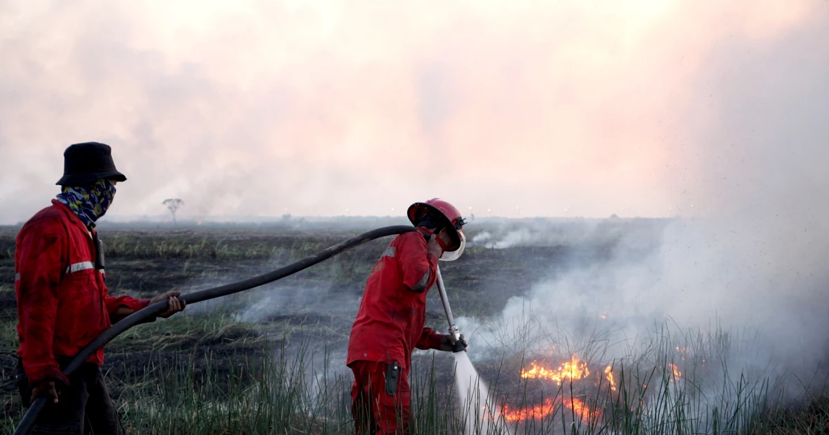 Indonesia battles forest fires as Malaysia sends firefighting support