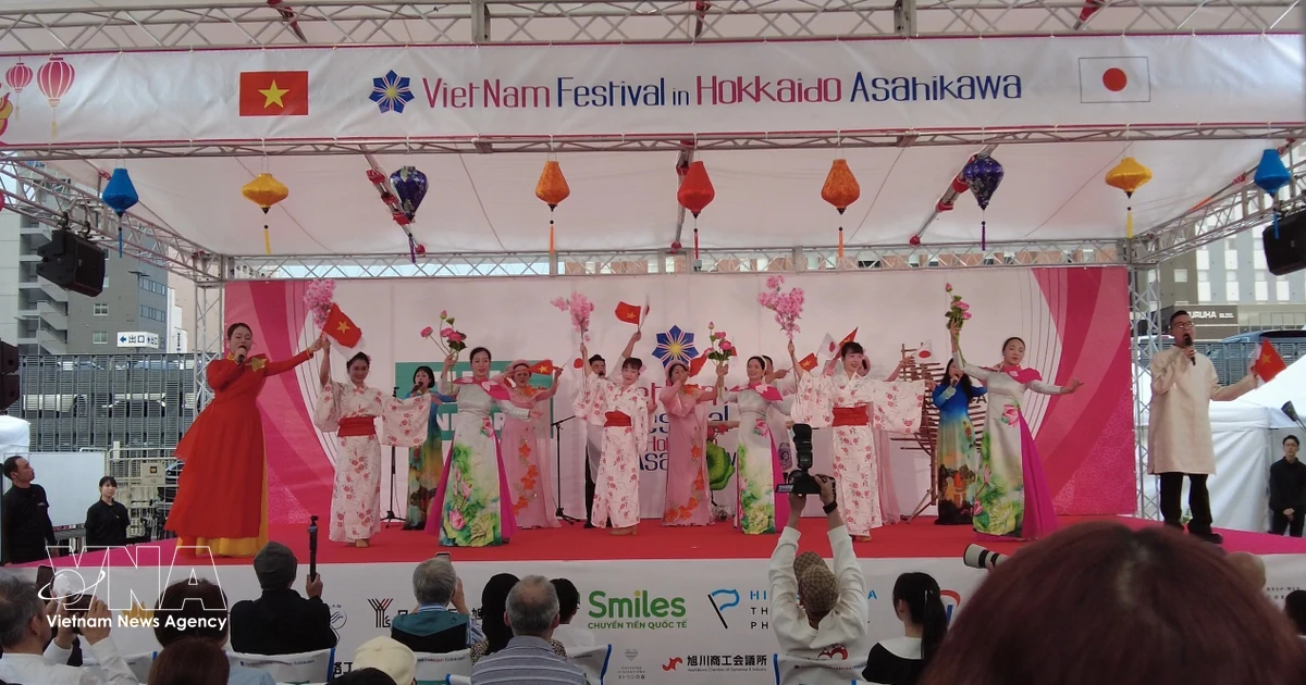 Vietnamese Cultural Festival brings people together in Japan