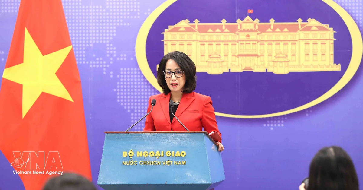 Authorities enhance coordination to simplify procedures for Vietnamese entering Russia: Spokesperson