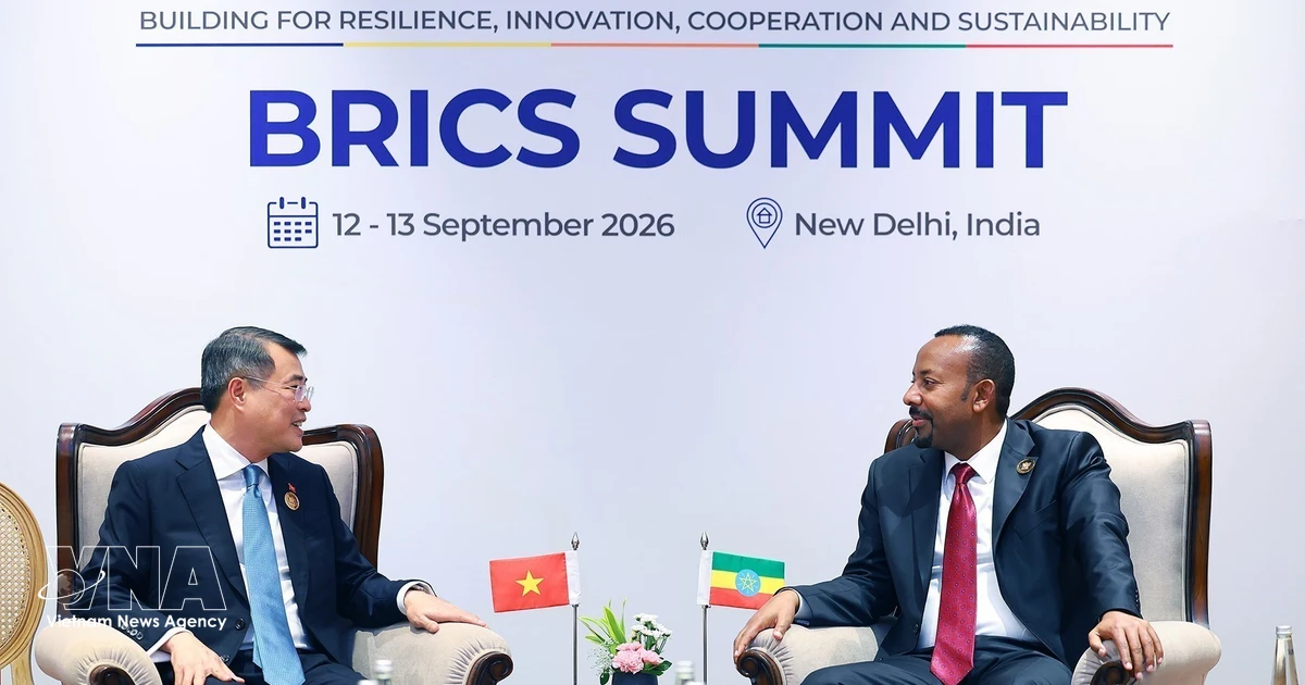 PM Le Minh Hung meets with Ethiopian counterpart Abiy Ahmed Ali in New Delhi