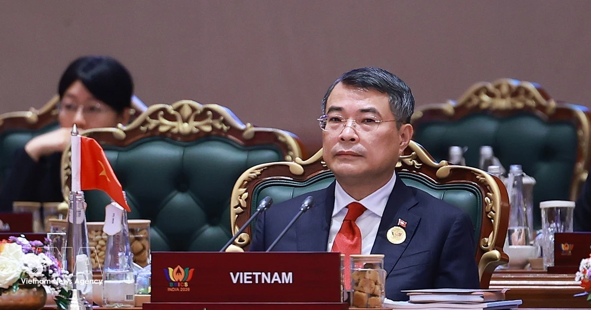 Vietnamese PM Le Minh Hung attends 18th BRICS Summit in New Delhi