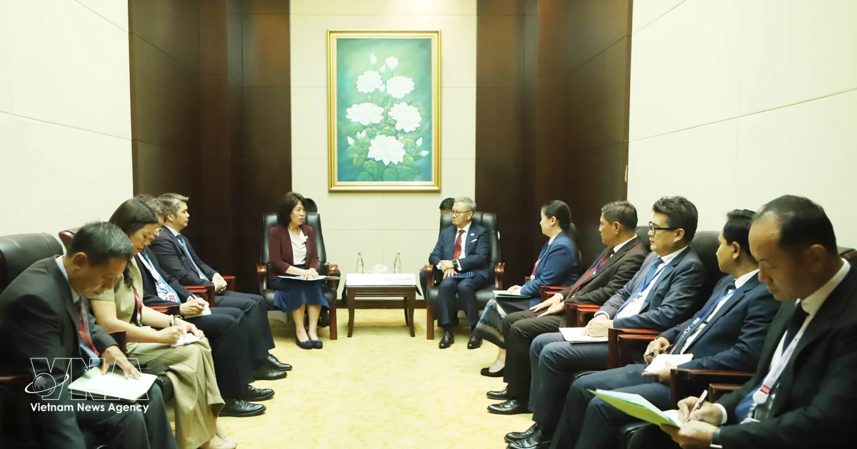 Vietnam seeks deeper cooperation with regional countries, partners