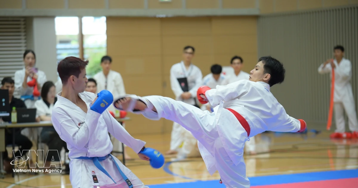 Vietnamese community in Japan’s Karate tournament held