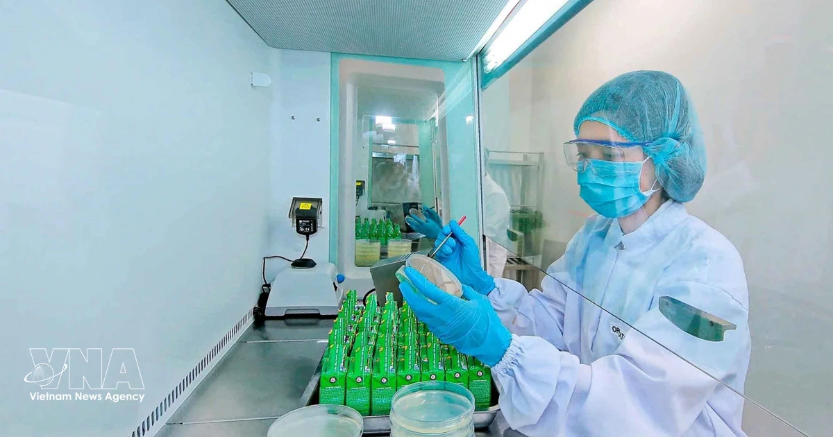 Resolution helps drive foreign direct investment into green economy