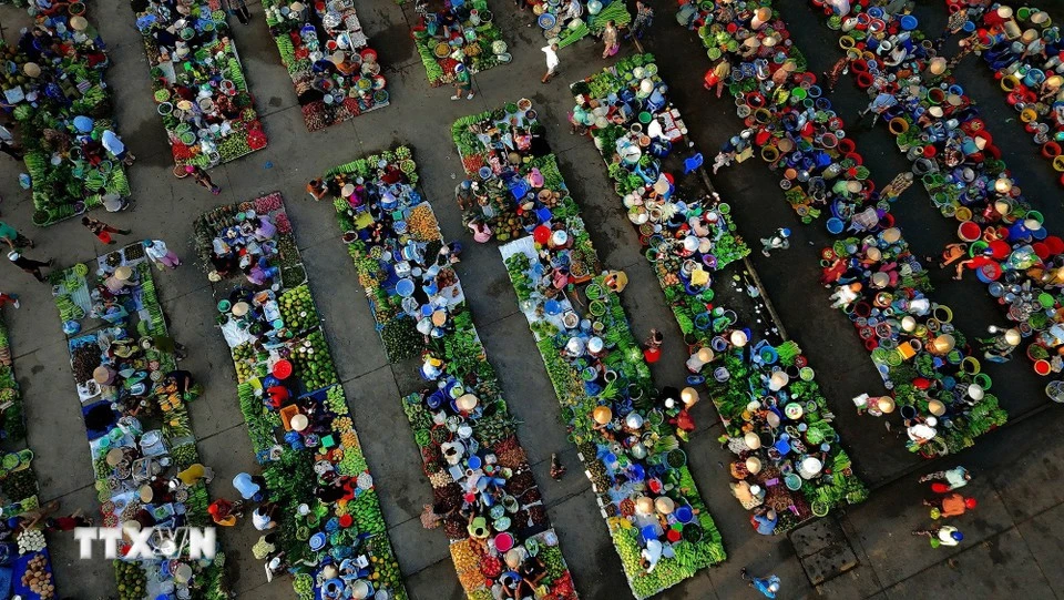 Can Tho’s countryside market captures charm of southern Vietnam