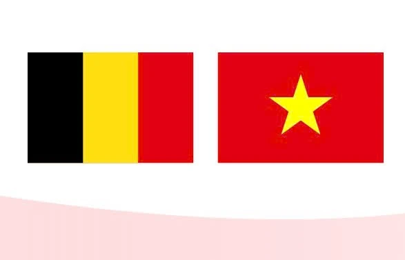 Vietnam - Belgium relations continue to flourish
