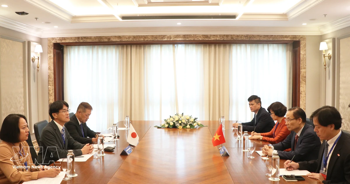 Foreign Minister receives Japanese officials in Hue