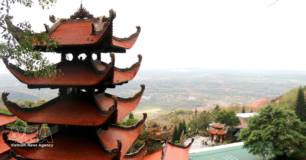 Lam Dong establishes 8,408-hectare Ta Kou Nature Reserve