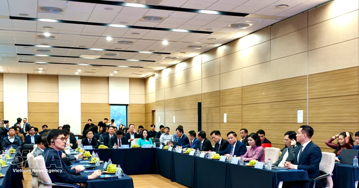 Nghe An seeks stronger tech, clean energy ties with RoK