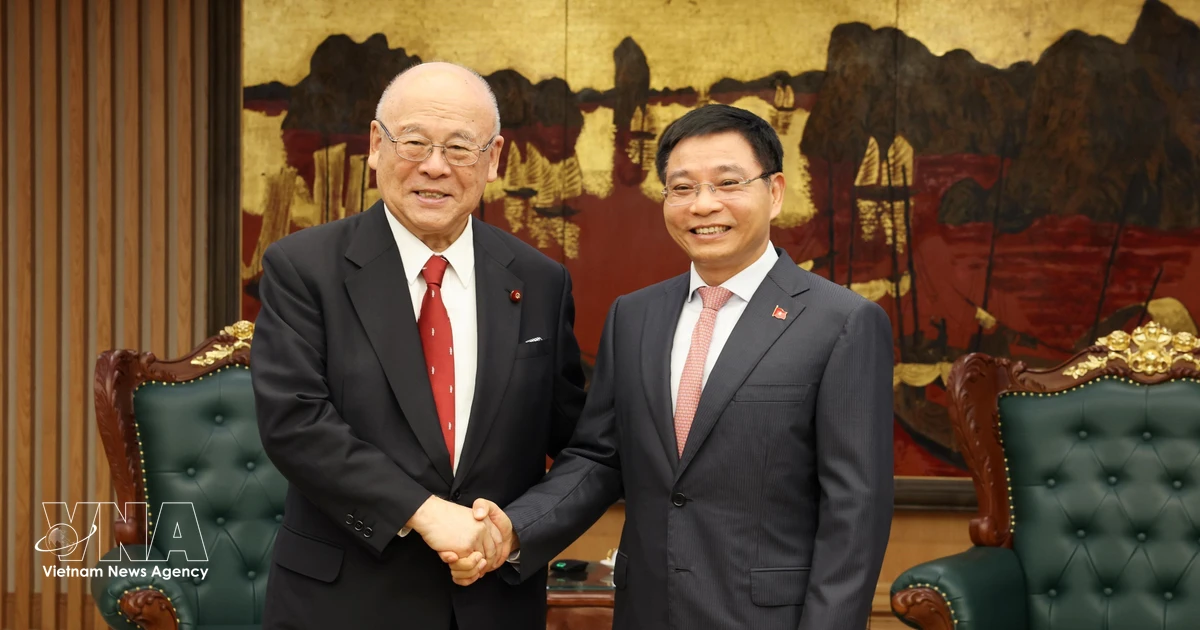 Deputy PM urges stronger Vietnam-Japan cooperation in human resources training