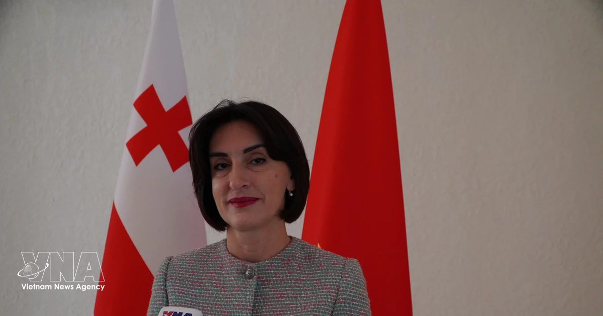 Vietnamese Vice President’s visit opens new opportunities for bilateral ties: Georgian Deputy PM