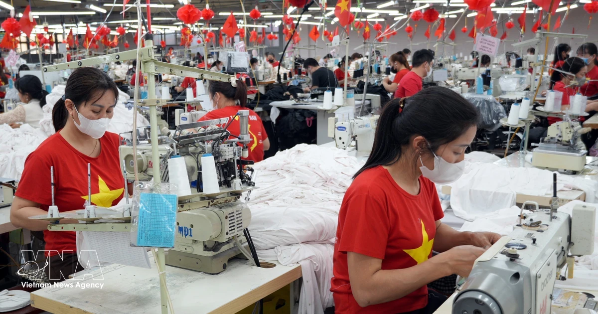 Vietnamese goods account for only around 1% of CPTPP market share