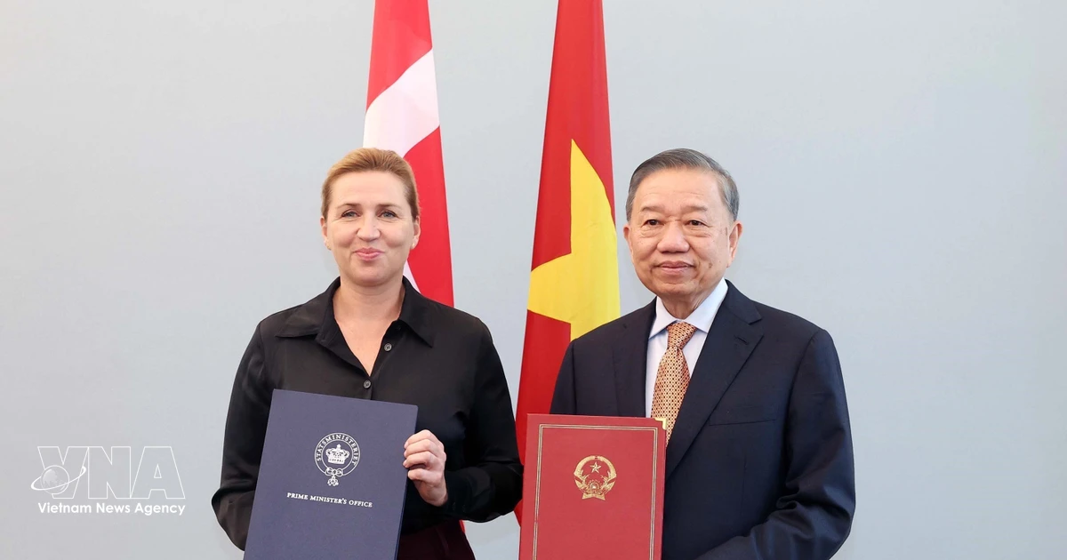 Vietnam, Denmark upgrade ties to Comprehensive Strategic Partnership