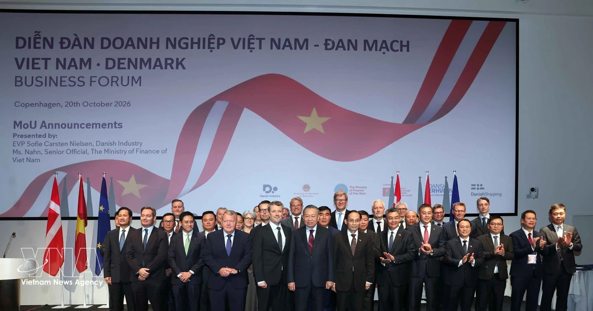 Top Vietnamese leader attends Vietnam–Denmark Business Forum