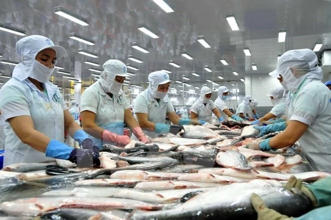 VASEP: Tra fish exports to Spain continue falling
