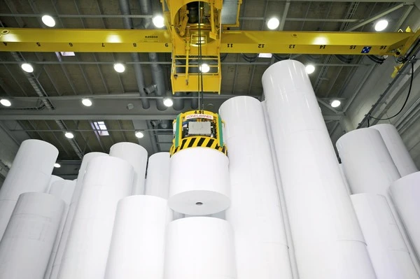 Vietnam's paper imports up last year